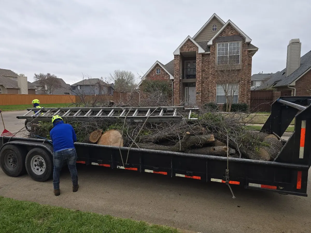 Expert Tree Fertilization with proper safety equipment in Farmingdale